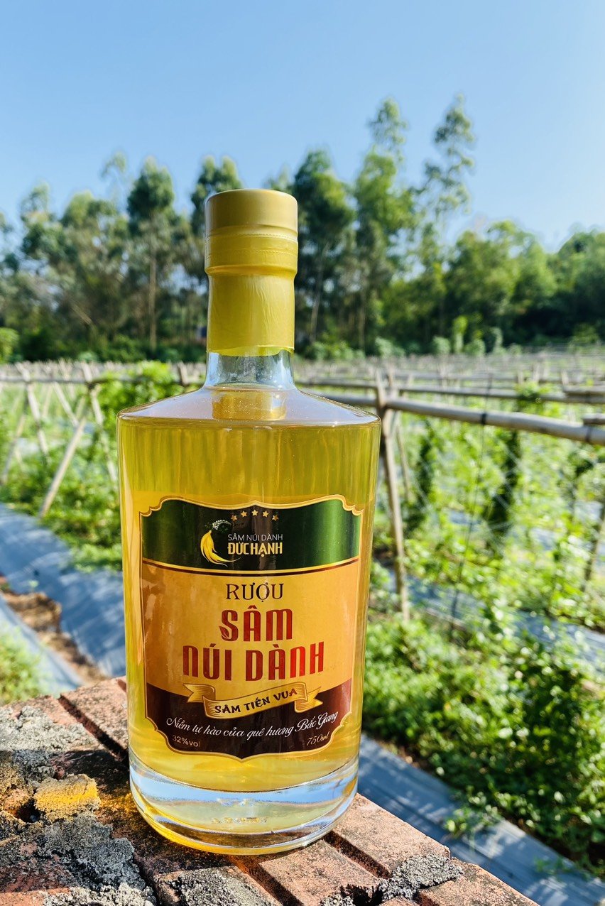 Quê quán của rượu làng Vân là ở đâu?
